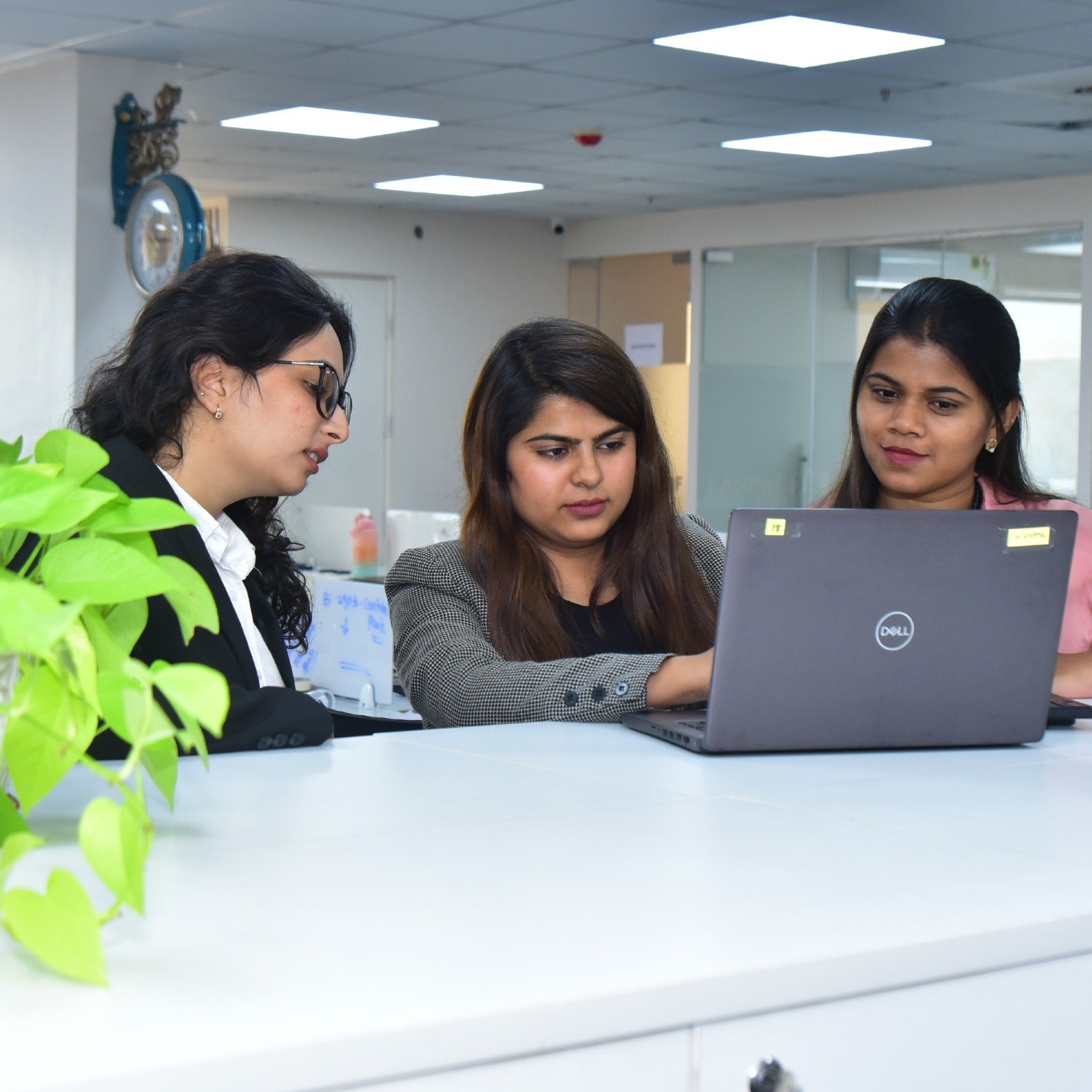 WhatsApp Image 2026 01 17 at 3.51.30 PM